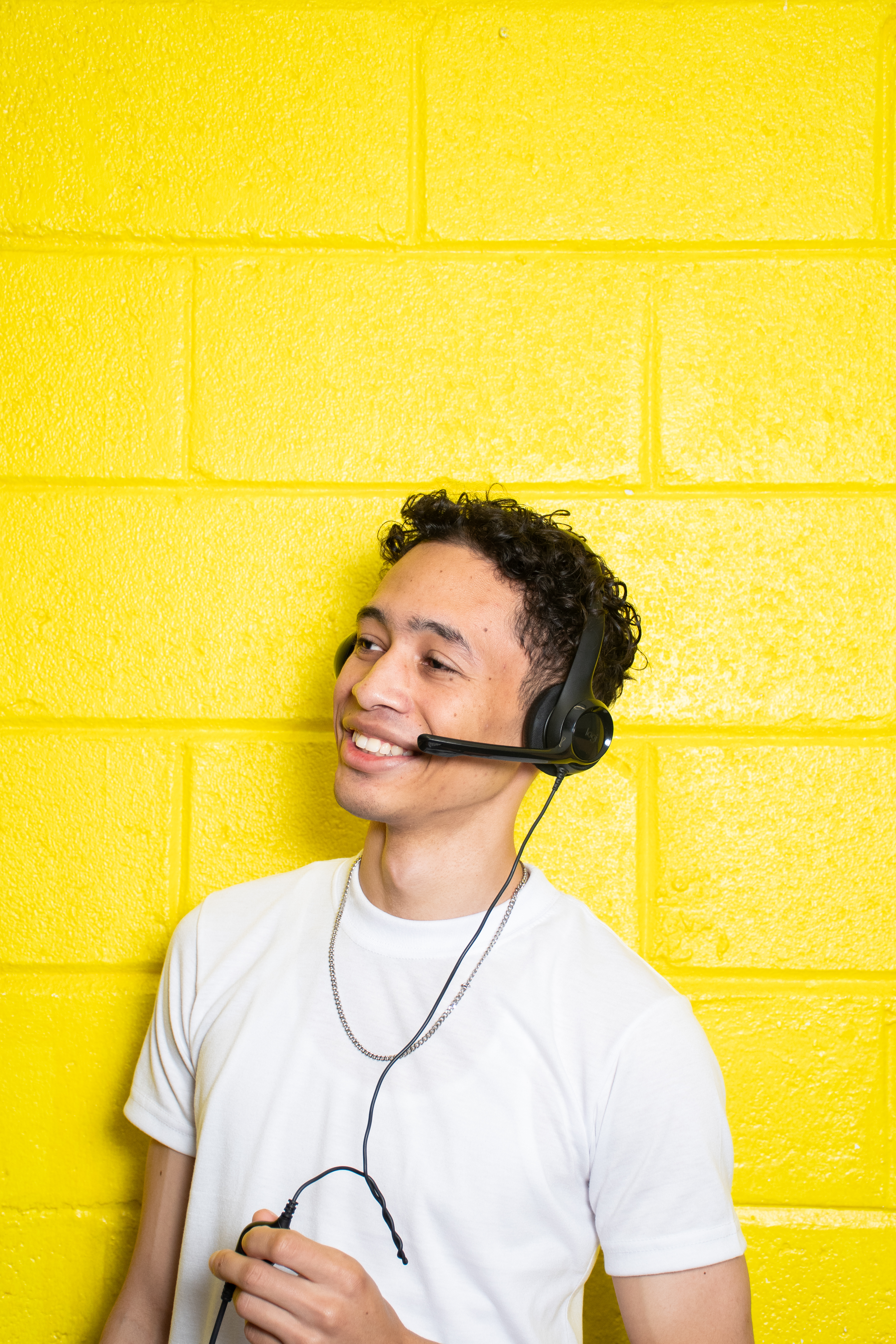 Professional Tech Support Agent